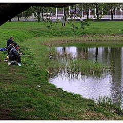 photo "Three fishermen and dog!"