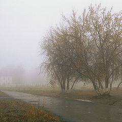 фото "жемчужная тишина"