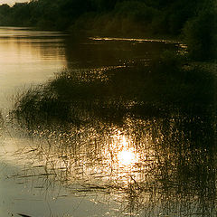 photo "warm evening"