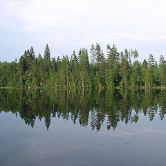 photo "The timber lake in Finlands"