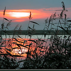 photo "evening in august"