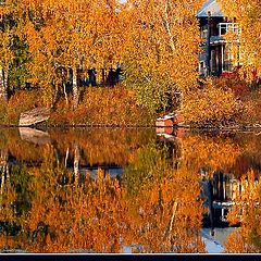 фото "золотая осень"