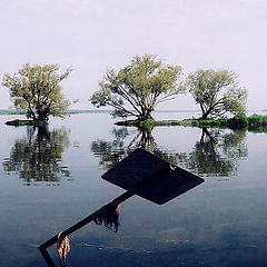 фото "vodnij znak"