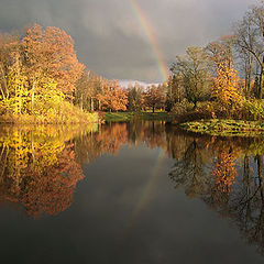 photo "Reflection"