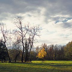 photo "In beams of the coming sun"