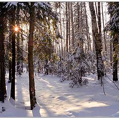 photo "Christmas morning"