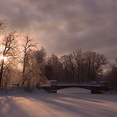 photo "The winter sun"