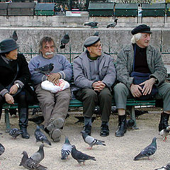 photo "Doves and oldermen in Paris"