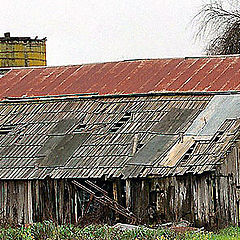 photo "In ruins"