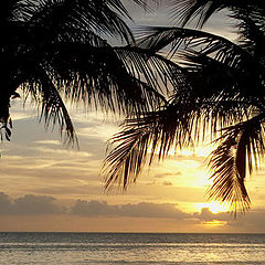 photo "Sunset at Miami Beach"