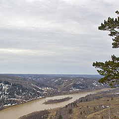 фото "Кондома"