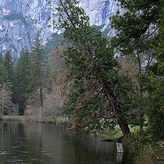 photo "Yosemite, The Merced River"