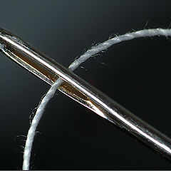 photo "Etude with needle"