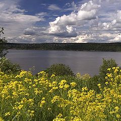 photo "A simple summer photo"