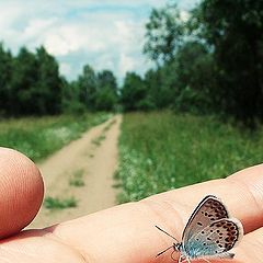 photo "Trust"