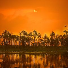 photo "Sunrise at Eagle Lakes-Naples, Florida"