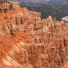 фото "Bryce Limestone Spires"