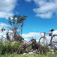 photo "From life of a bicycle"