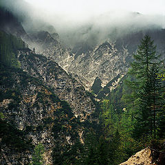 photo "Gloomy gorge"