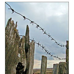 photo "Old fence"