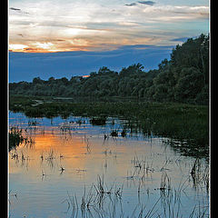 photo "Calm river"