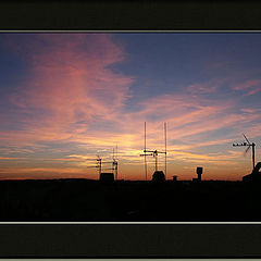 фото "a night on the tiles"