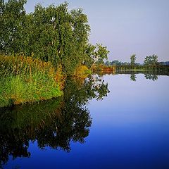 фото "Тихая заводь"