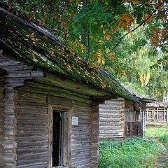 photo "Autumn in a classical province"