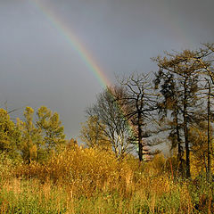 photo "Along a stream 2 (the Rainbow on the right)"