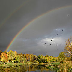 photo "Along a stream-3 (The rainbow at the left)"