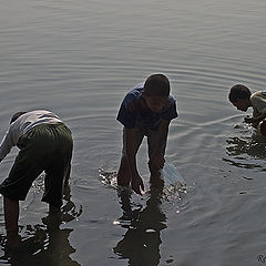 photo "Looking for fish"