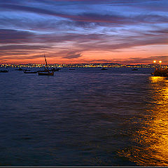 photo "Golden light in blue sea"