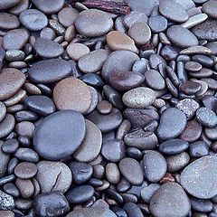 photo "beach stones, Rialto Beach, Washington State, USA"