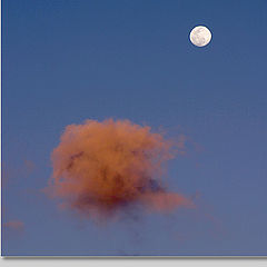 фото "The Moon and a Cloud..."