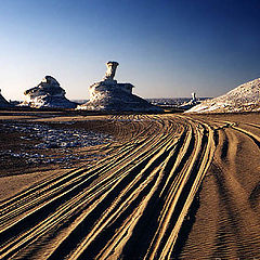 photo "White desert 2"