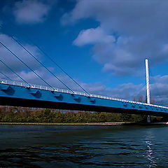 фото "the bridge"