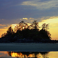 photo "low tide"