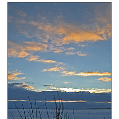 photo "Evening in turn blue"