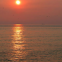 photo "Sunset for two"