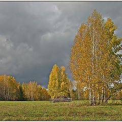 фото "Последний день осени"