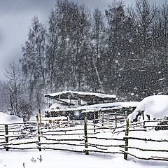 фото "Снегопад"