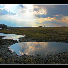 photo "Spring puddle"