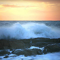 фото "seascape"