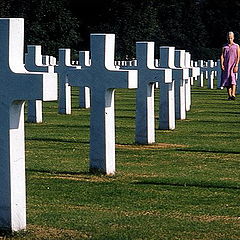 photo "American cemetery"