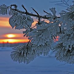 фото "Зимние краски"