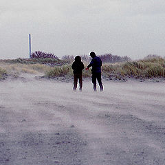 photo "Sand storm"