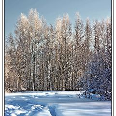 фото "Просто зима"