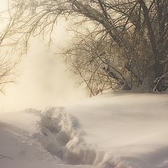 фото "Прогулки в тумане"