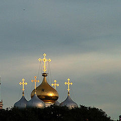 фото "Купола Новодевичьего монастыря"