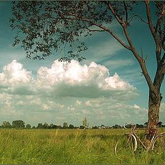 photo "From life of a bicycle"